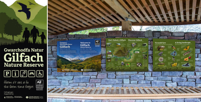 Gilfach Nature Reserve 1 768x391