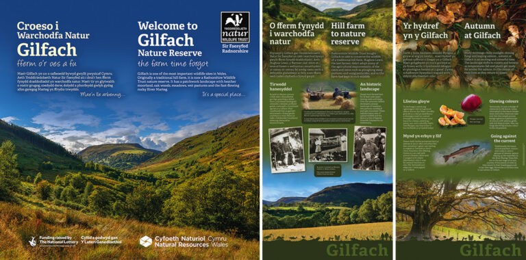 Gilfach Nature Reserve 2 768x380