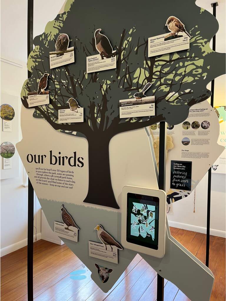 Bird display Bird display