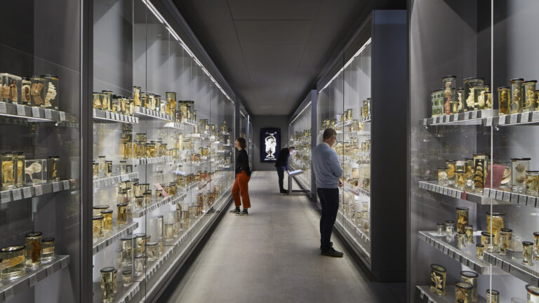 Hunterian Museum Hunterian Museum
