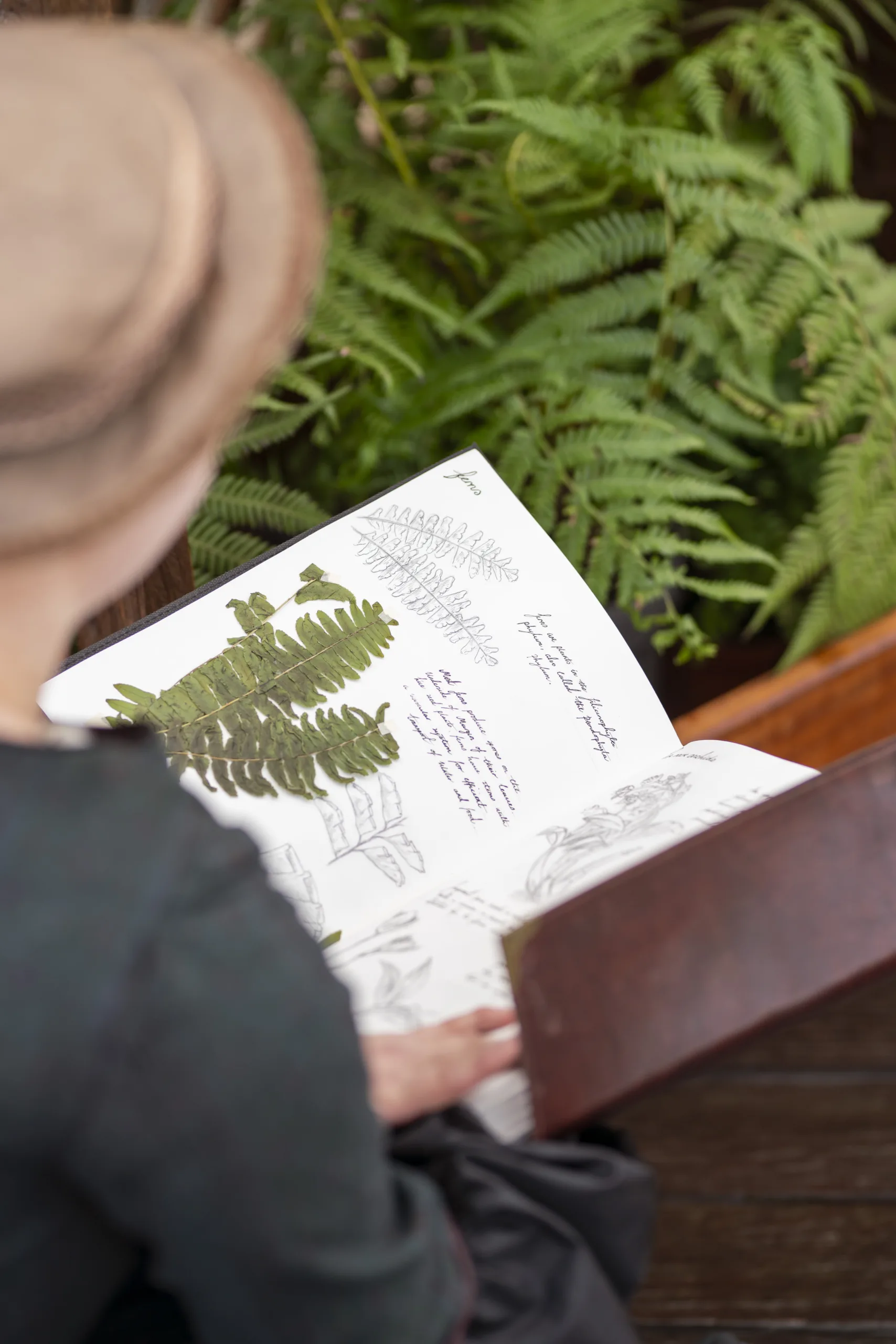 Royal Botanic Garden Edinburgh: Evaluation Lead