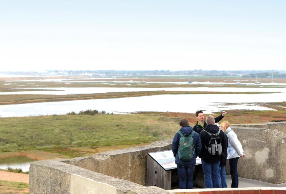 Natural interpretation: a brief guide