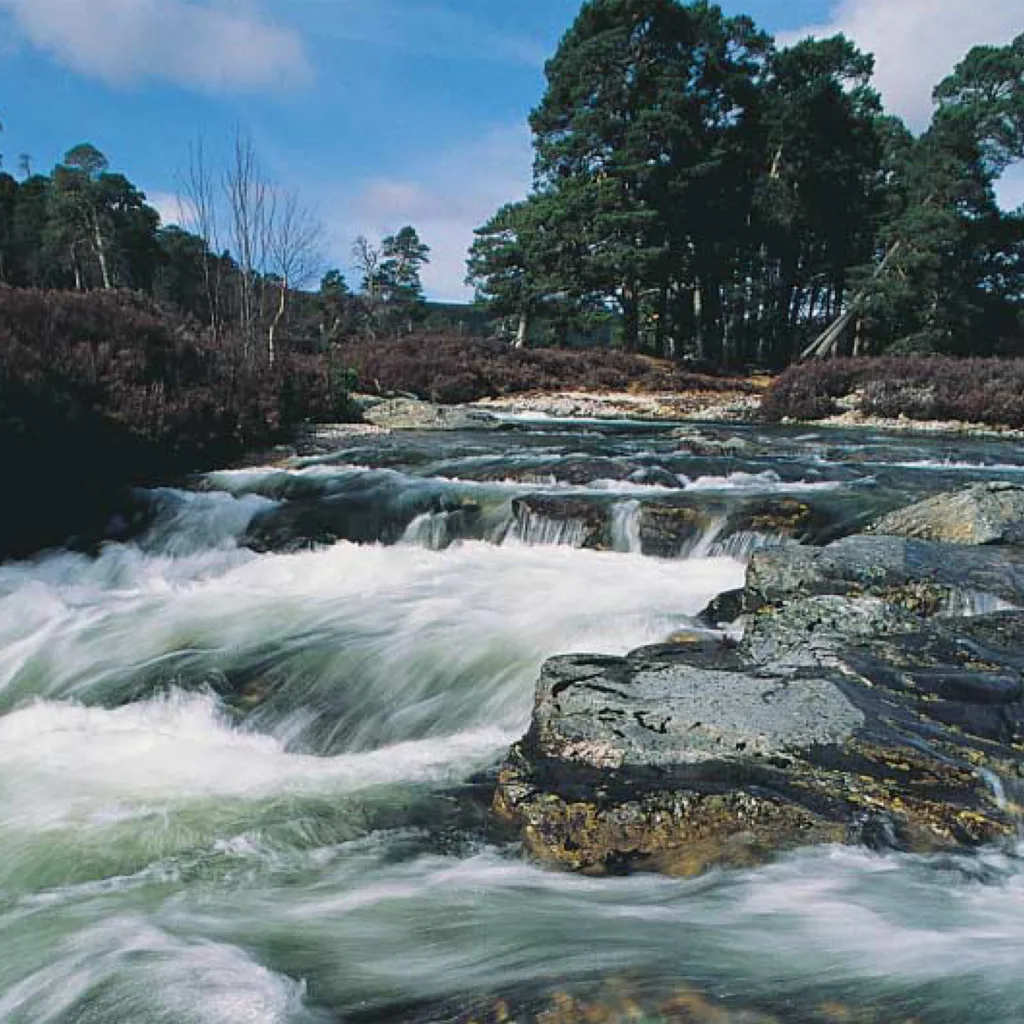 Interpret Scotland Magazine Archive