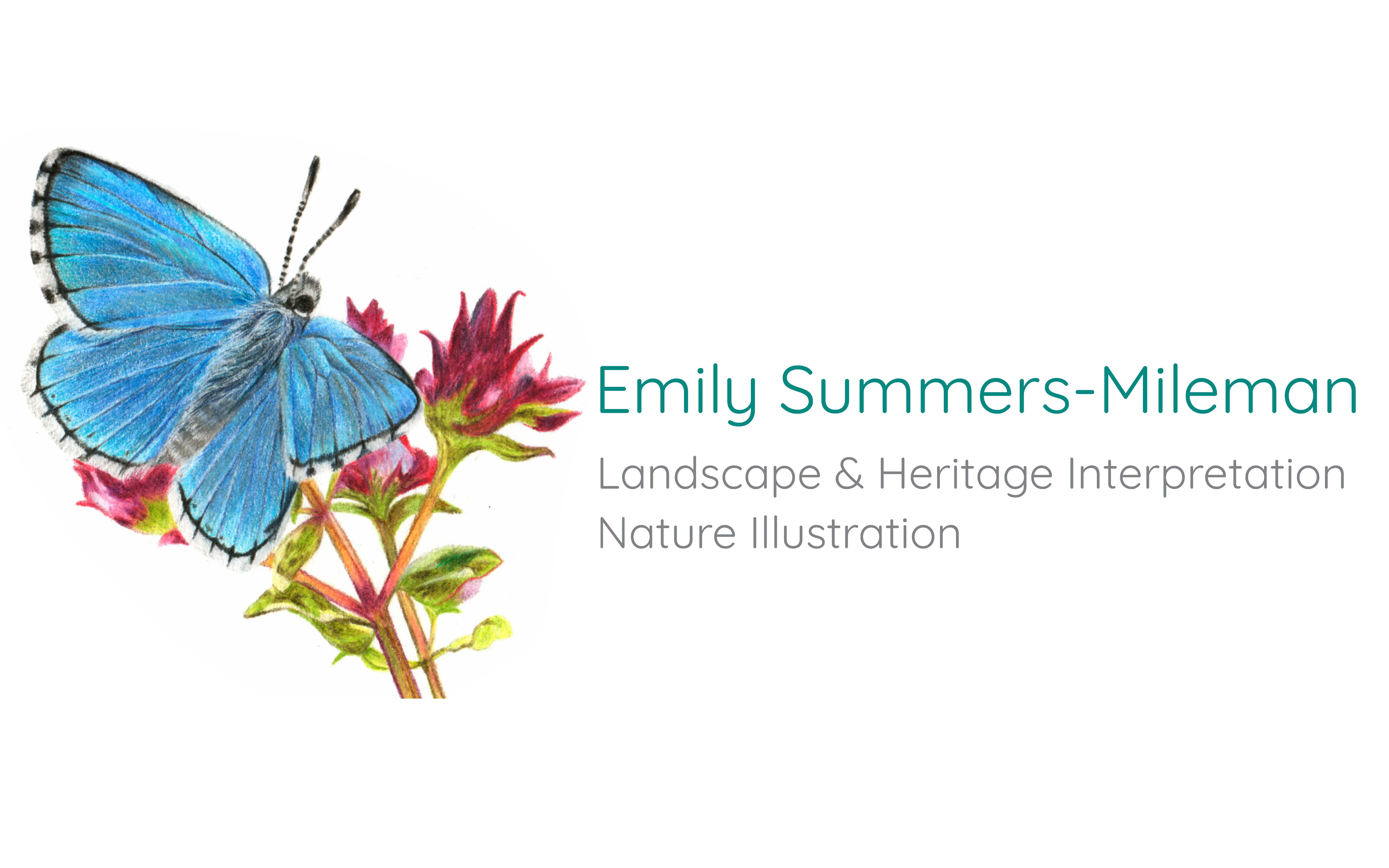Emily Summers-Mileman Nature Interpretation & Illustration